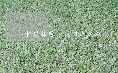 中国银行 信用卡逾期 中国银行 信用卡逾期